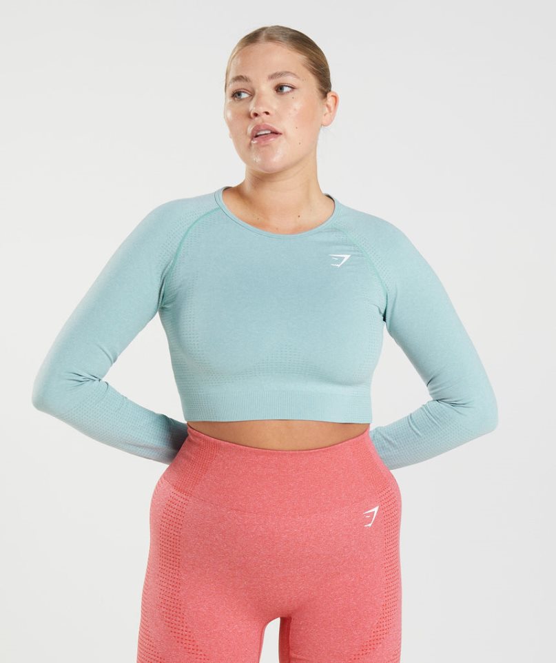 Women\'s Gymshark Vital Seamless 2.0 Cropped Tops Light Blue | CA D86503